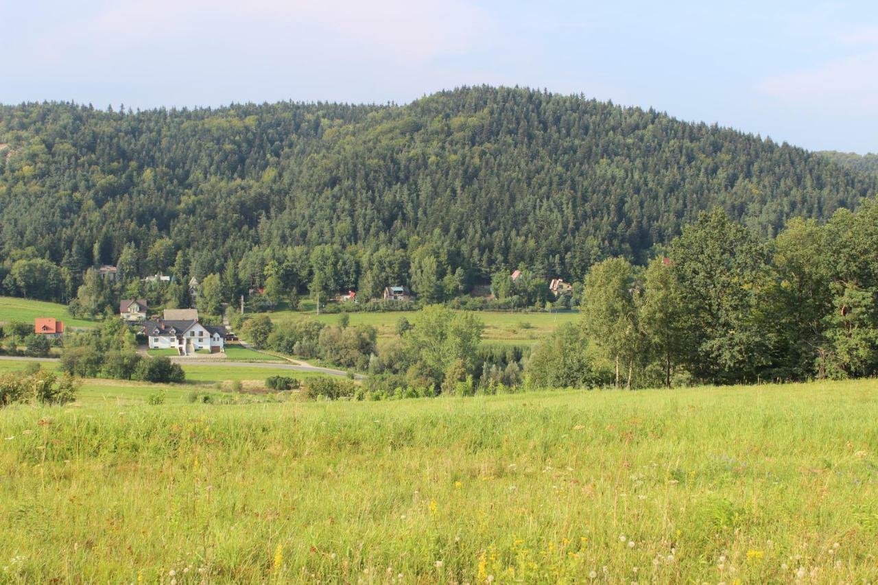 Dwor Bysina Villa Myślenice Eksteriør bilde